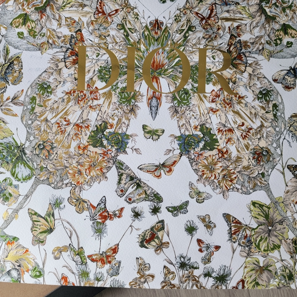 Extra Large Limited Edition Authentic Dior Butterfly Shopping Bag Framed - Picture 5 of 12